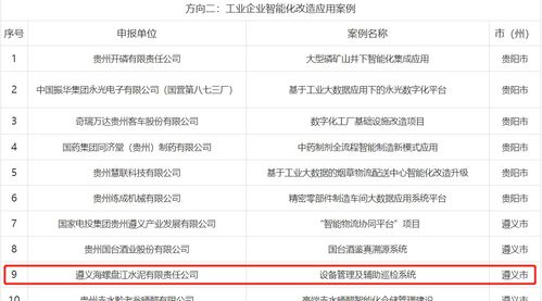 遵義海螺設(shè)備管理及輔助巡檢系統(tǒng) 貴州省工業(yè)企業(yè)智能化改造的應(yīng)用典范